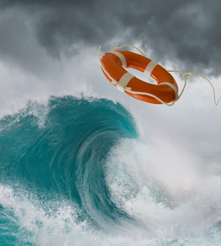 Investeringsforeningen Maj Invest billede