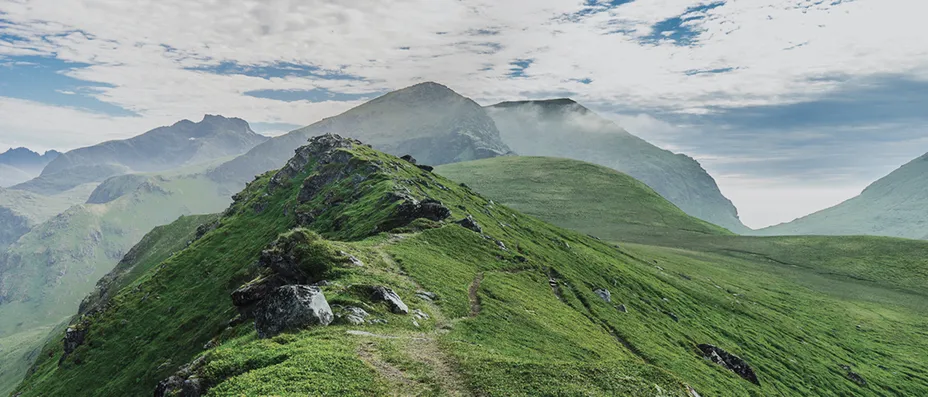 Investeringsforeningen Maj Invest billede