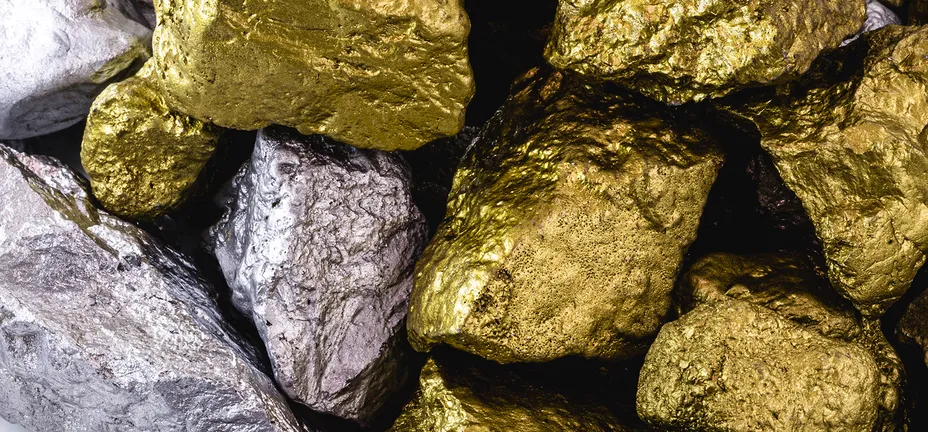 Investeringsforeningen Maj Invest billede