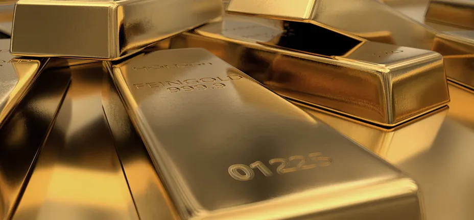 Investeringsforeningen Maj Invest billede