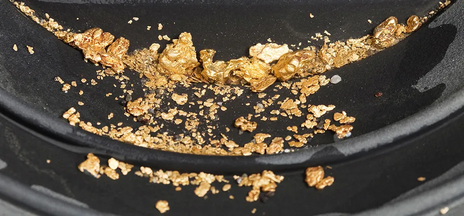 Investeringsforeningen Maj Invest billede