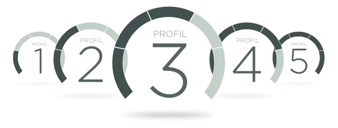 Investeringsforeningen Maj Invest billede