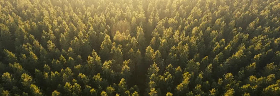 Investeringsforeningen Maj Invest billede