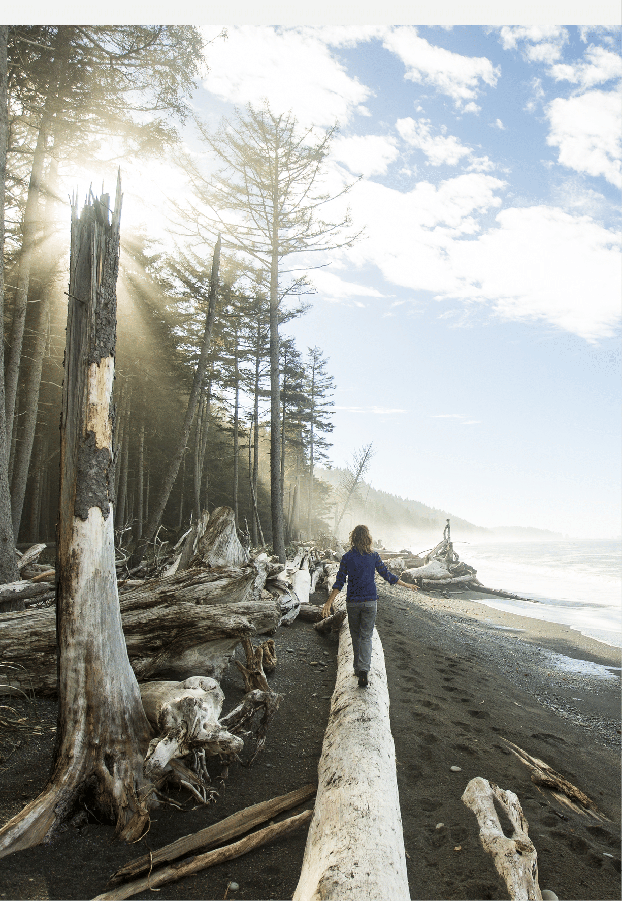 Backpacking along the coast in the Olympic National Park 