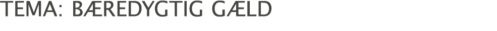 tema: bæredygtig gæld