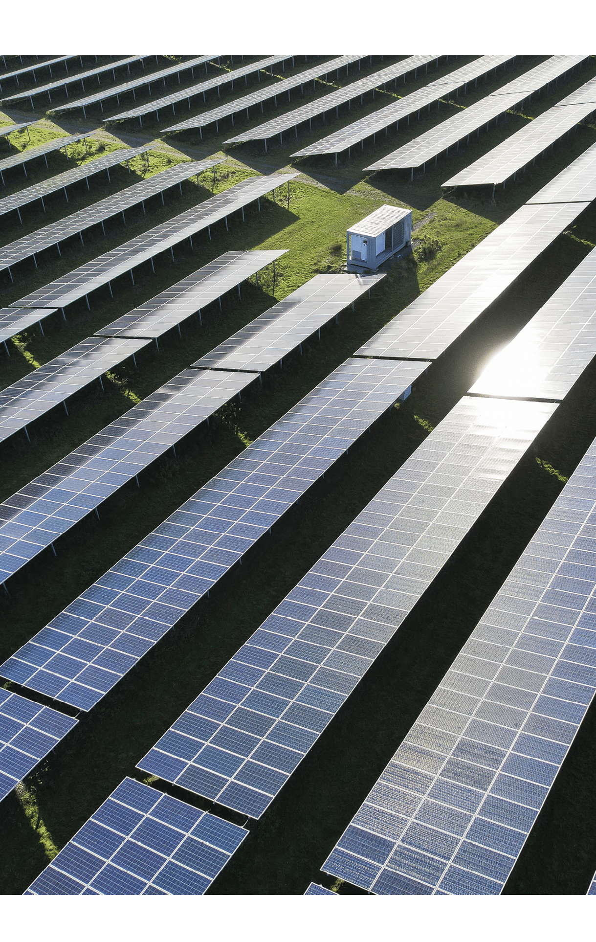 Rows of solar energy panels  Groningen, the Netherlands, september 2022