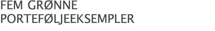 fem grønne porteføljeeksempler