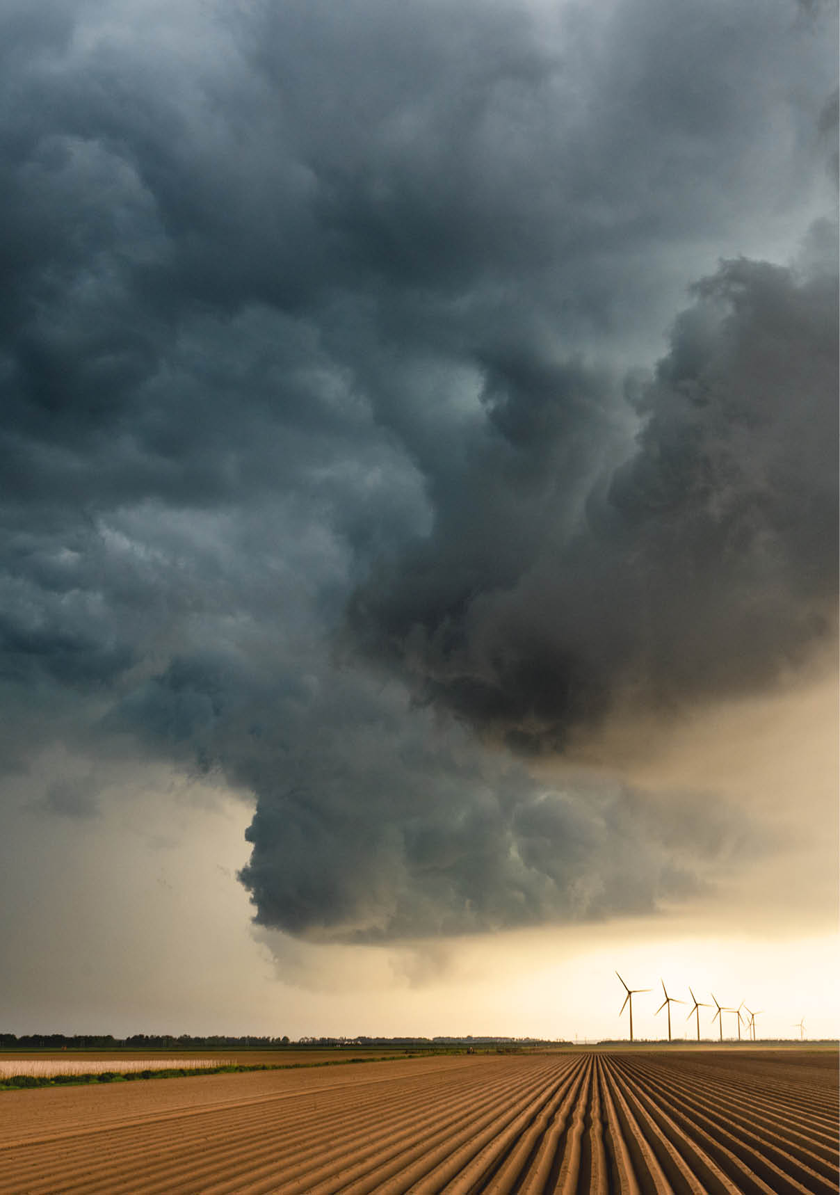 This is a picture of a storm as it is building up over an uncultivated  agricultural field and some wind turbines in the horizon  It was shot at a location in the eastern part of the Netherlands 