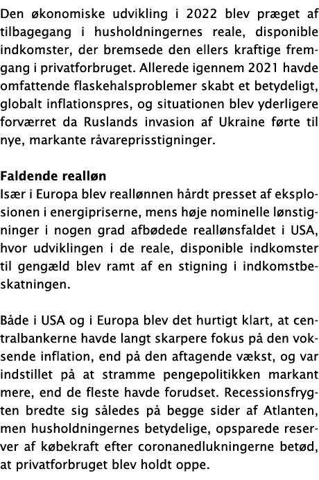 Den økonomiske udvikling i 2022 blev præget af tilbagegang i husholdningernes reale, disponible indkomster, der brems   