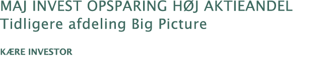 Maj Invest opsparing h j aktieandel Tidligere afdeling Big Picture K re investor 
