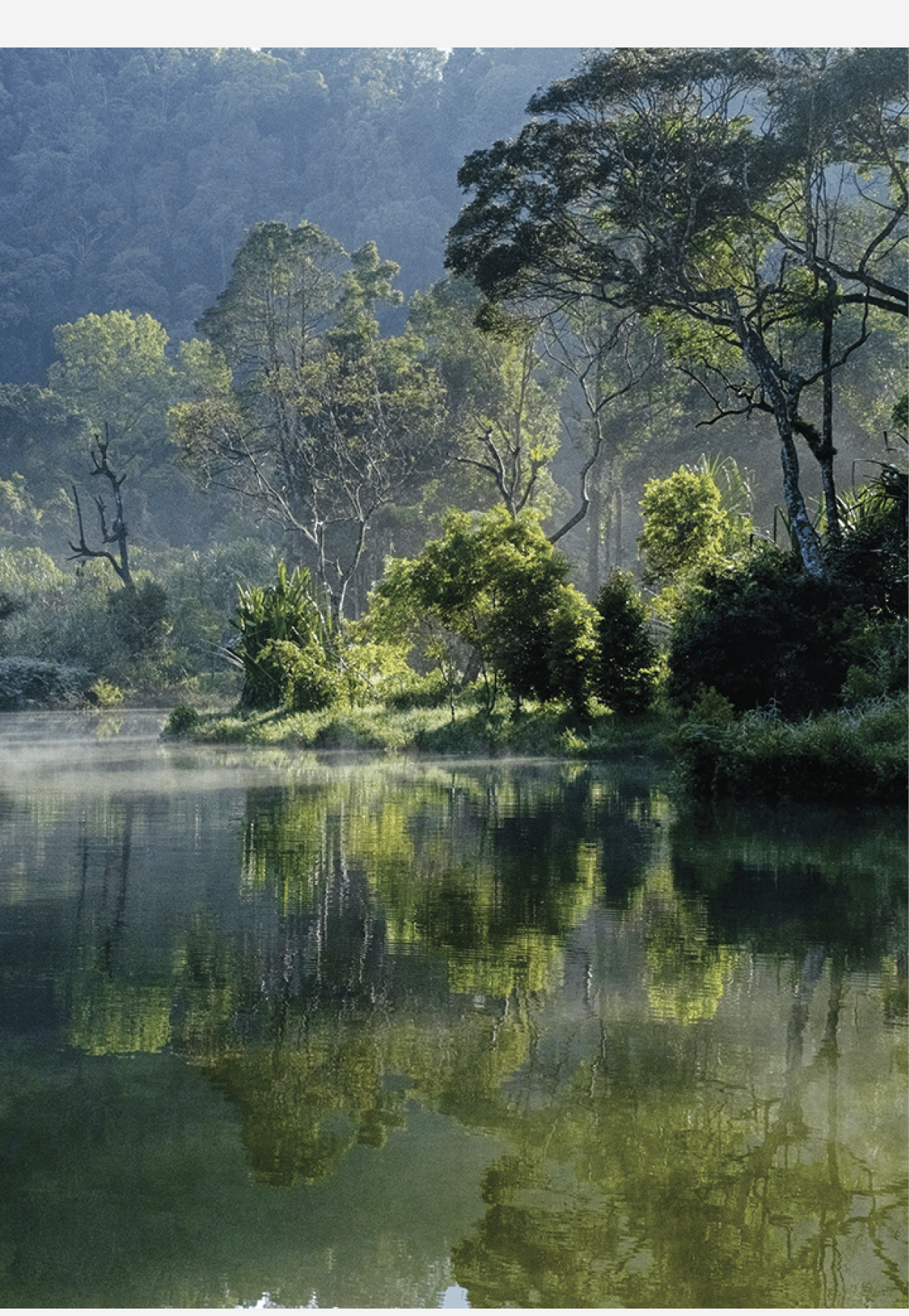 Situ is a Sundanese term for a lake. It is called Situ Gunung (mount) due to its location in mount Pangrango, Sukabumi. This location is a popular tourist attraction for people in West Java and Jakarta.