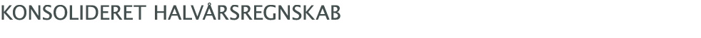  Konsolideret halvårsregnskab