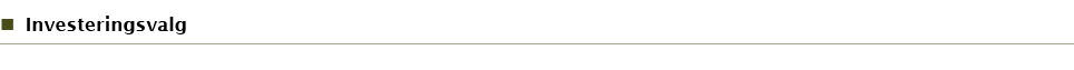 Investeringsvalg