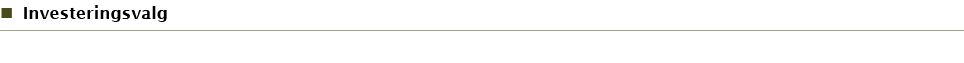 Investeringsvalg