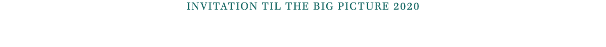 invitation til The Big Picture 2020 
