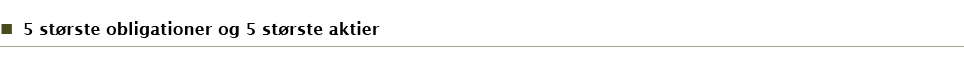5 største obligationer og 5 største aktier