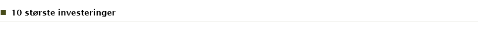 10 st rste investeringer
