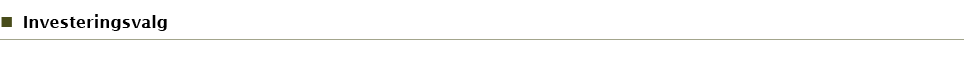 Investeringsvalg