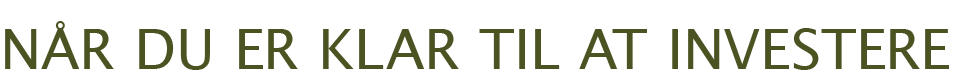 n r du er klar til at investere