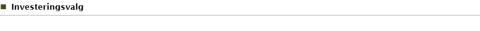Investeringsvalg