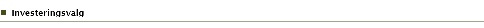 Investeringsvalg
