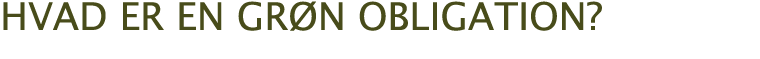 Hvad er en gr n obligation 