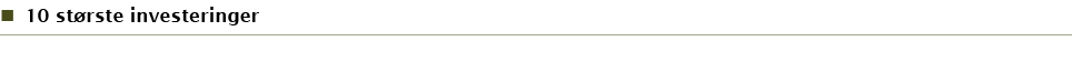 10 st rste investeringer