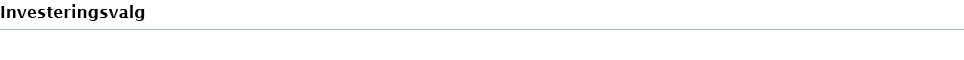 Investeringsvalg