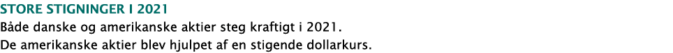 Store stigninger i 2021 Både danske og amerikanske aktier steg kraftigt i 2021  De amerikanske aktier blev hjulpet af   