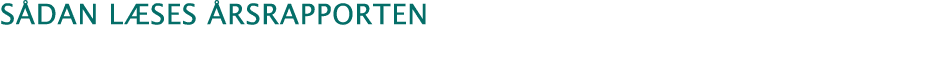 Sådan læses årsrapporten