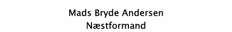 Mads Bryde Andersen Næstformand