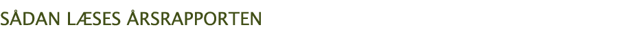 Sådan læses årsrapporten