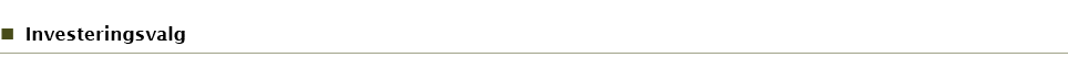 Investeringsvalg