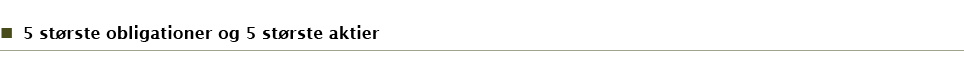 5 største obligationer og 5 største aktier
