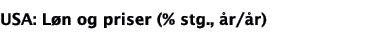 USA: Løn og priser (% stg , år år)