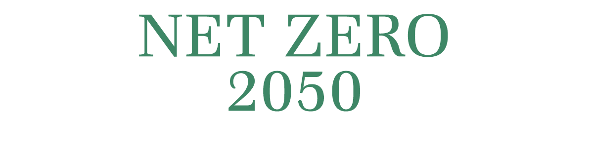 Net Zero 2050 