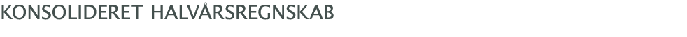 ﻿Konsolideret halv rsregnskab