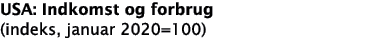 USA: Indkomst og forbrug (indeks, januar 2020 100)