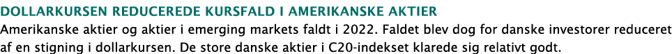 Dollarkursen reducerede kursfald i amerikanske aktier Amerikanske aktier og aktier i emerging markets faldt i 2022. F...