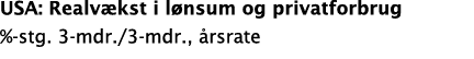 USA: Realv kst i l nsum og privatforbrug % stg. 3 mdr./3 mdr., rsrate